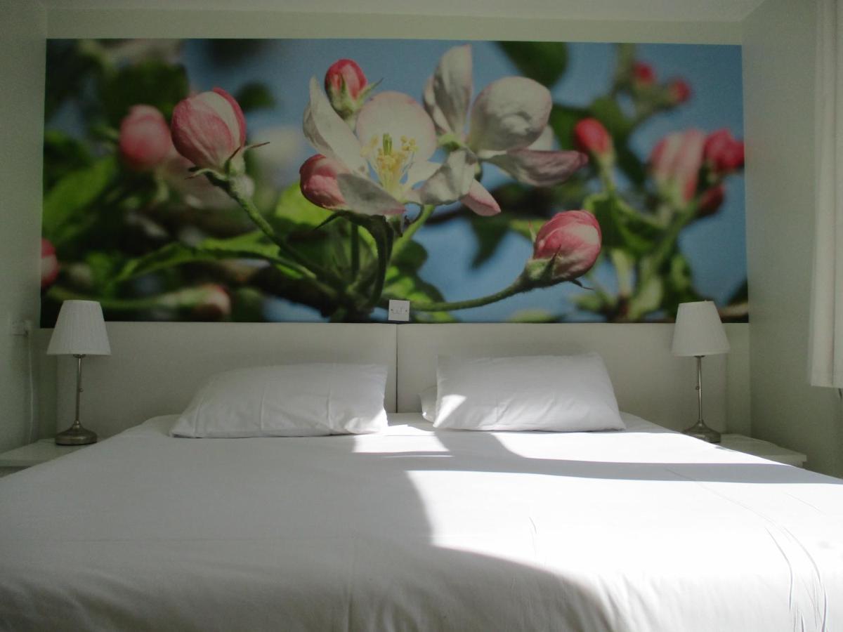Hillview Bed And Breakfast Chestfield Ngoại thất bức ảnh
